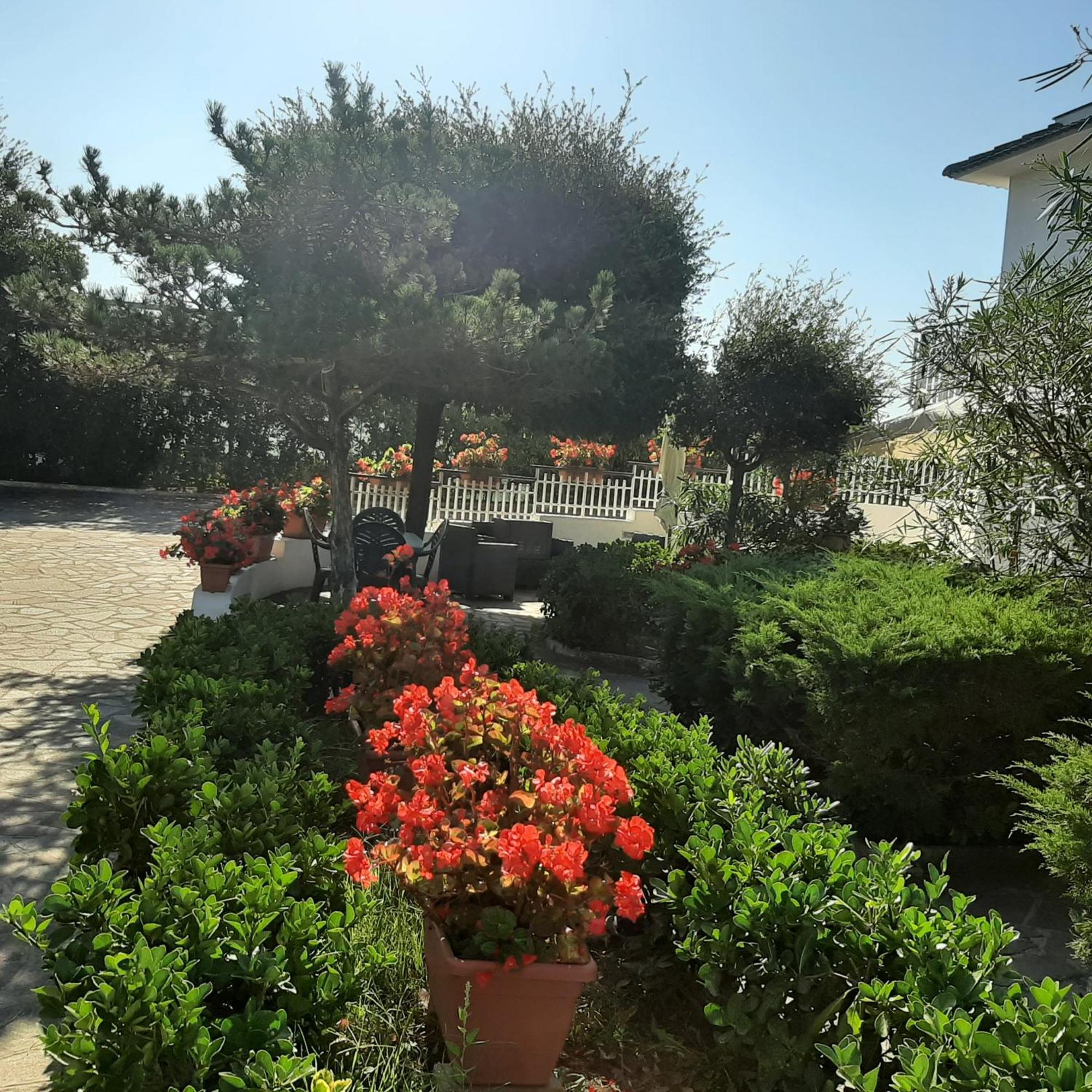 Appartamento In Villa Valentini, Fronte Mare, Giardino E Parcheggio Privato, Wifi, Dotato Di Tutti I Confort, Nel Golfo Di Gaeta Minturno Eksteriør bilde