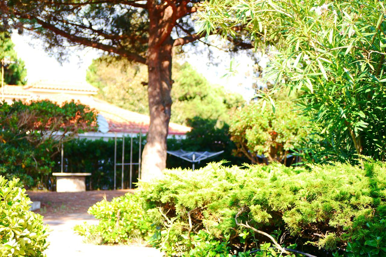 Appartamento In Villa Valentini, Fronte Mare, Giardino E Parcheggio Privato, Wifi, Dotato Di Tutti I Confort, Nel Golfo Di Gaeta Minturno Eksteriør bilde